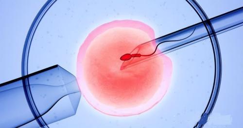 Is it easy for a woman to conceive twins? In addition to genetic determination, these aspects are also important.
