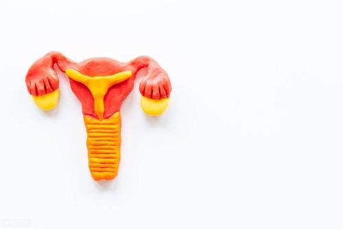 How to independently check patency of fallopian tubes? Try these three methods!
