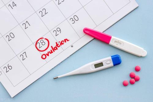 Why do some get pregnant from first touch? In addition to an easy-to-conceive physique, day of ovulation is also very important!
