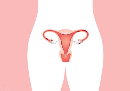 Thin endometrium will affect pregnancy, 3 ways to restore thickness of endometrium!
