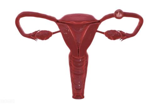 Why are healthy fallopian tubes obstructed? These 4 aspects must be carefully researched

