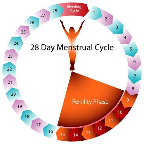 Understanding the Science of Ovulation and Fertility