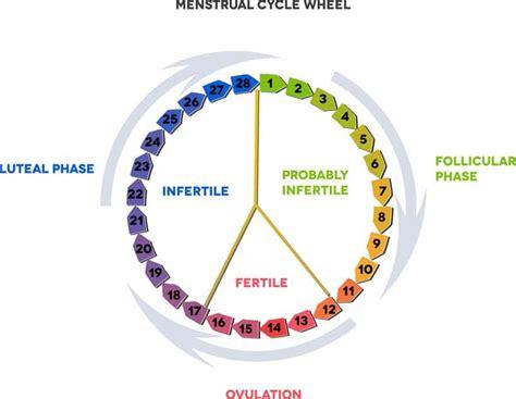 Ovulation Tracking: Charting Your Fertility Signs