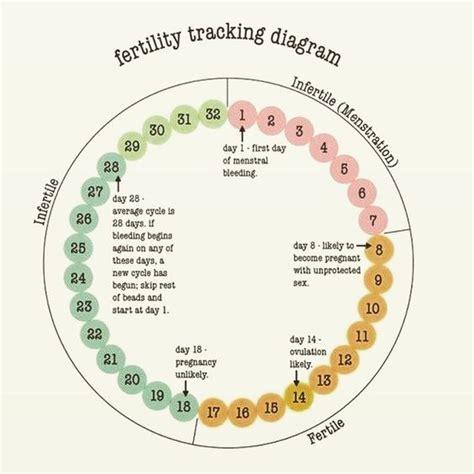 Ovulation Tracking: Charting Your Fertility Signs