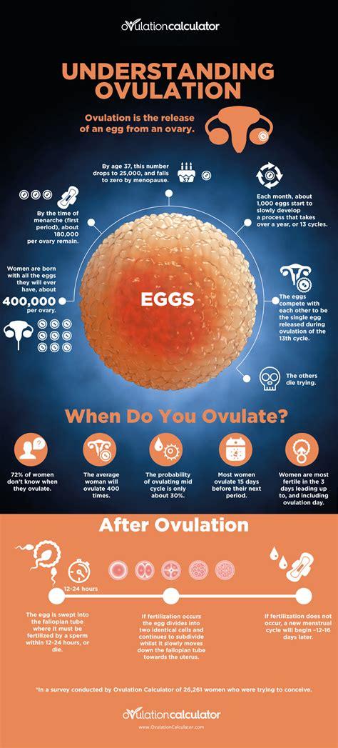 Unveiling the Secrets of Female Fertility: Understanding the Science Behind Ovulation
