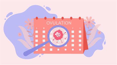 The Impact of Stress on Ovulation: Finding Balance in a Busy World